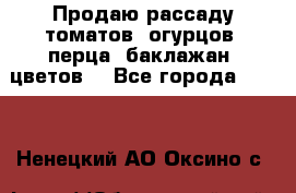 Продаю рассаду томатов, огурцов, перца, баклажан, цветов  - Все города  »    . Ненецкий АО,Оксино с.